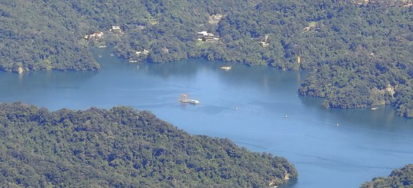 2025/10/10-水田林道上外鳥嘴山2911501