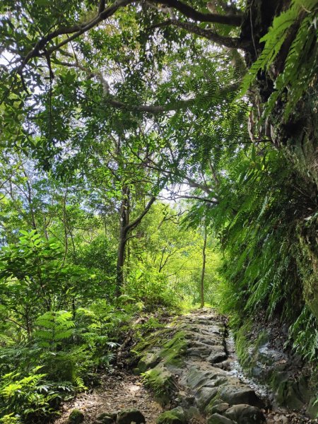 2023.08.26 草湳登二格山2468896