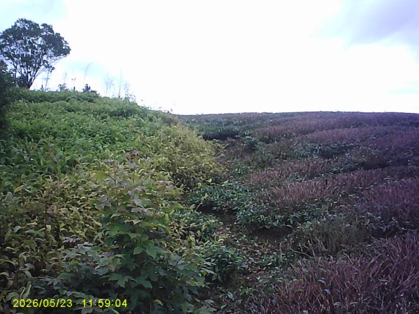 台18號公路的隙頂山3061233