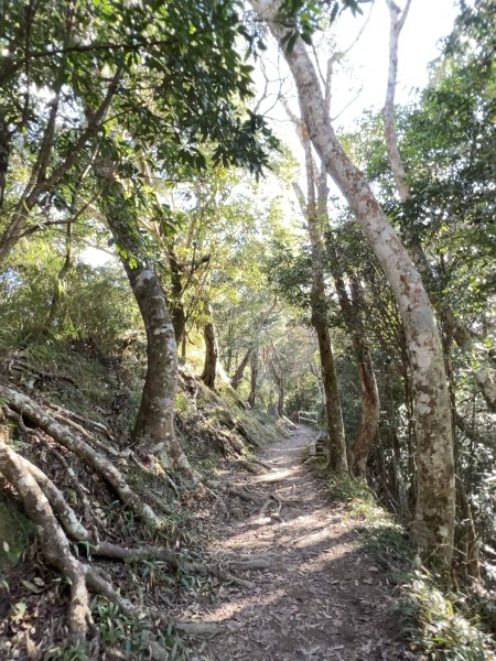 小百岳-馬那邦山2635996