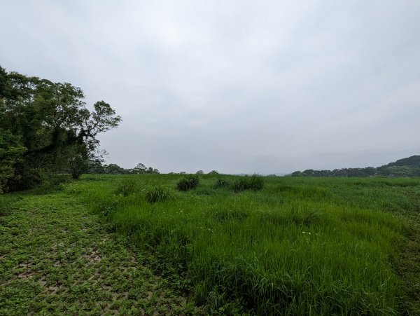 銅鏡山林步道2134885