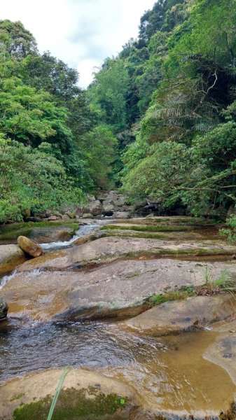 聖人瀑布➡️聖人崙➡️雙溪山+梅花五弄➡️帕米爾公園➡️聖人橋O型2797041