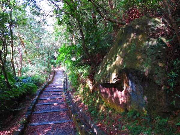 大崙頭尾山及台北小溪頭環狀步道258798