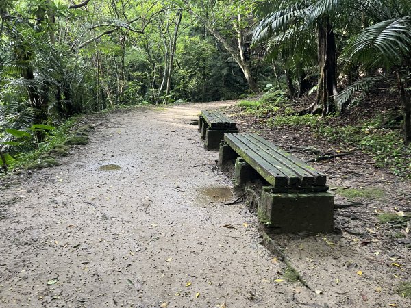 [皮皮獅探險隊-01/10] 2025_0706 六寮古道2830742