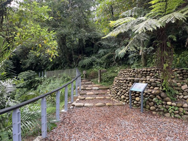 [微笑山線_第十二段] 2025_0803 五分山系_望古瀑布2851537