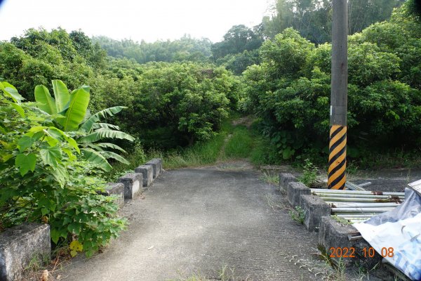 臺南 東山 牛山1873309