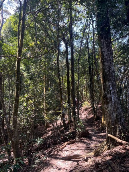 2025/3/22白毛山2823681