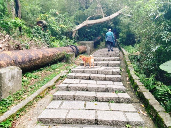 天母水管路古道1068106