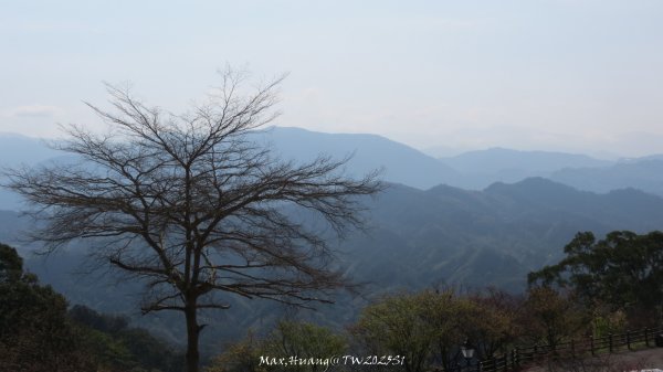 《苗栗》粉紅佳人｜獅潭協雲宮上新石門山新田山八角崠山202502222718941