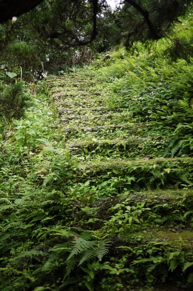 台北大縱走第七段 樟山寺-樟樹步道-茶展中心步道-大成殿步道-指南宮步道1577584