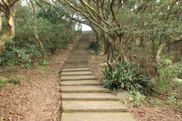 20170107台灣桃園虎頭山步道90638