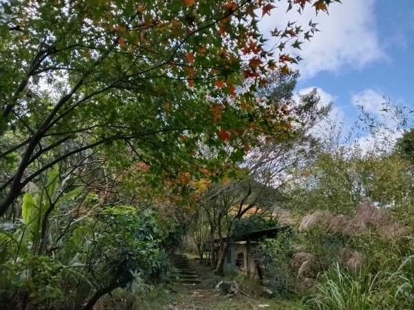 雙溪區聖南寺朝山古道+大竹林山(未果)2963589
