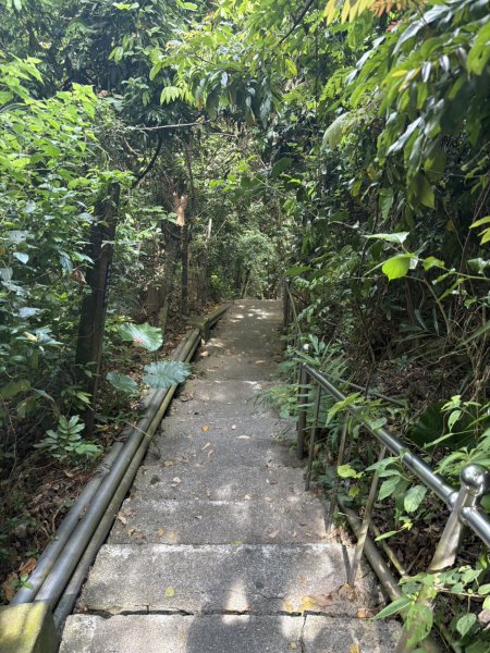 20250907高雄大崗山步道2914743