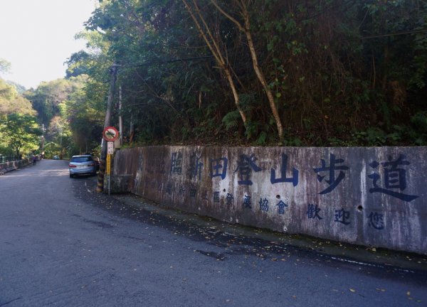 新田登山步道 聚興山1310772