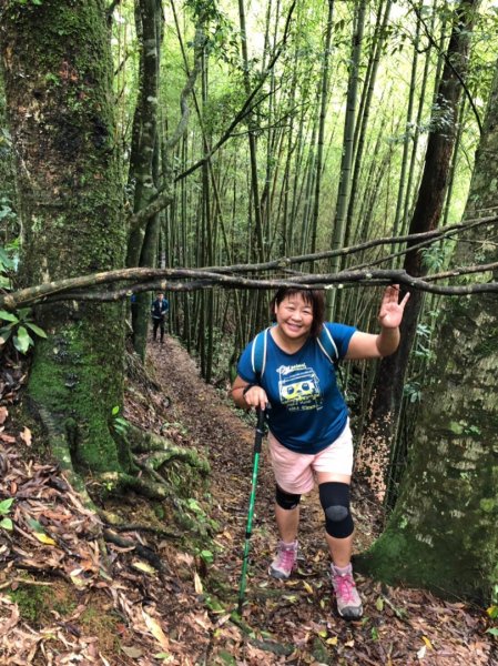 嘉南雲峰、石壁山有著讓人嚇到哭的螞蝗現身596810