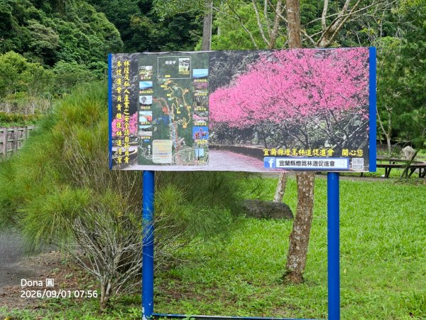 宜蘭燈篙林道.肖楠步道.雙月湖O走3114584