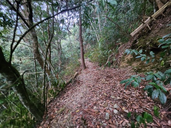 20260220板子寮山舊武界越山橫屏山O型3011636