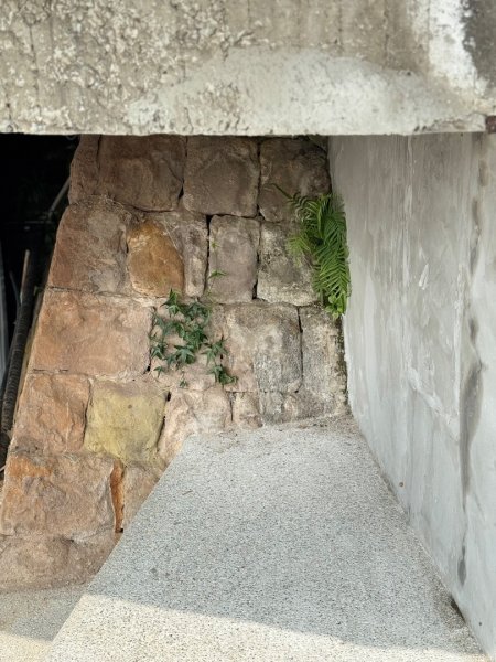 20250227基隆虎仔山2730498