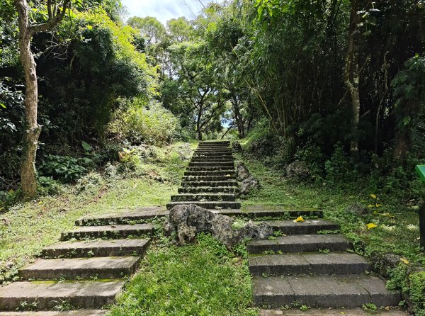 [百山百鳥尋旅-02/15] 2025_0809 社頂自然公園步道2857218