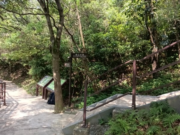 基隆市情人湖步道+老鷹岩+大武崙砲台+大武崙山O型2783541