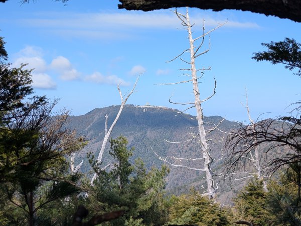觀霧國家森林遊樂區和包場的榛山三角點2724175