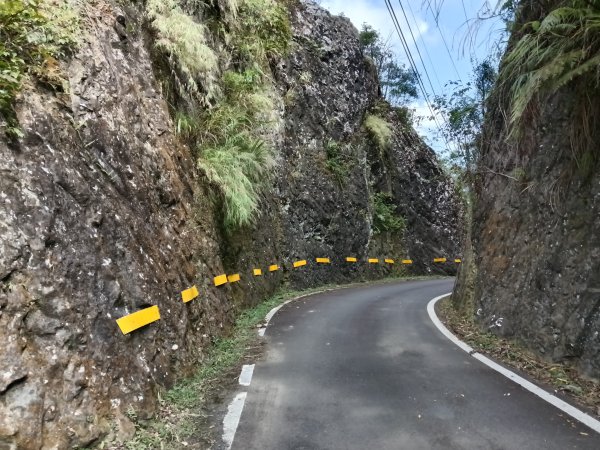 平溪區大華步道+幼坑古道+幼坑崙(大華車站-三貂嶺車站)2925184