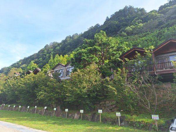 司馬庫斯神木步道順遊司立富瀑布11508023116725