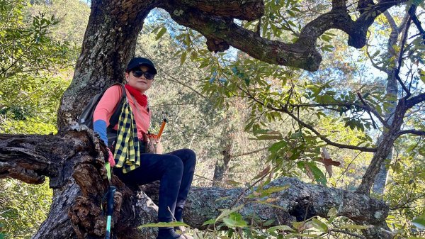 【谷關七雄】波津加(H1771.6m)肉腳配速成功2670565