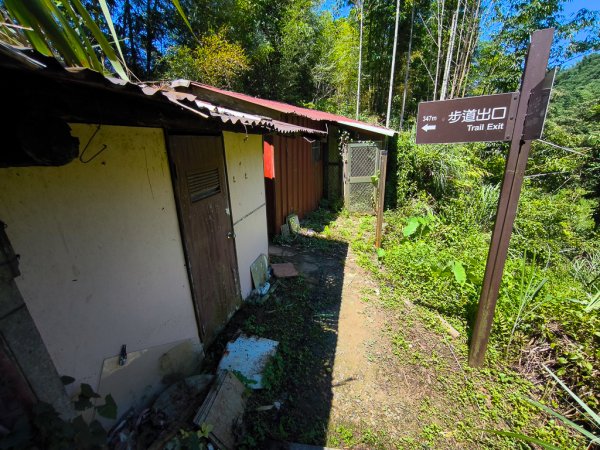 2024-08-22 澀水森林步道2578473