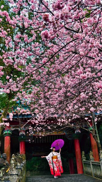 內湖碧山巖 2/182714797