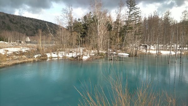 日本北海道青池2759853