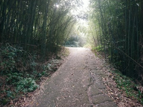 馬那邦山(小百岳編號037)720087