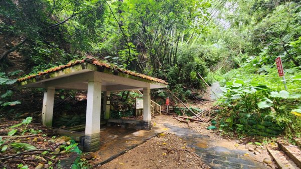 【南投民間】松柏嶺步道連走松柏坑山2601701