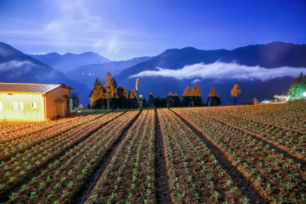 秋遊福壽山順走合歡溪步道690364