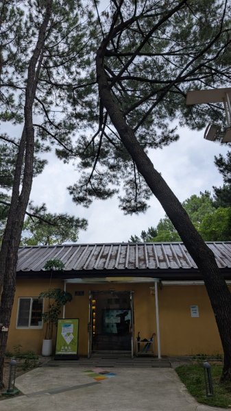 20250629大湳森林公園好所在2823577