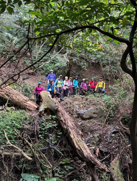 登峰古圳訪高頂山 北五指山 出荷蘭古道 快閃聖人瀑布2982320
