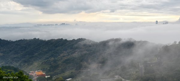 #雲瀑 #雲海 #琉璃光 #天空之城（林口）#觀音山 #林梢步道 3/13008597