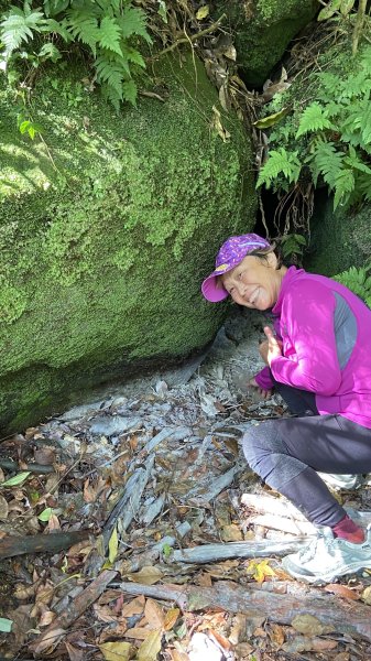 走青山瀑布探老梅冷泉|Qingshan Waterfall|秘境不秘|老梅瀑布|峯花雪月2561842