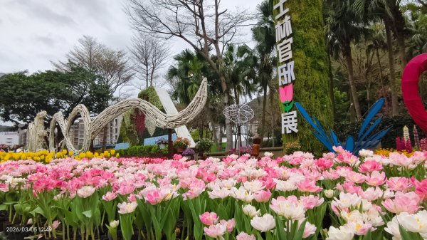 #士林官邸 #鬱金香 #碧山巖 #椿寒櫻 #國父紀念館 #八重櫻 3/5 #三層崎 #嗄嘮別 3/63010392