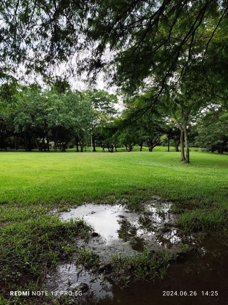 大安森林公園【走路趣尋寶】【臺北健走趣】2536237