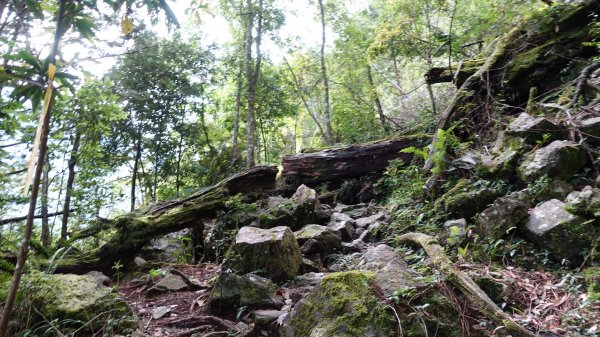 雙龍林道上巒安堂西巒大山1778579