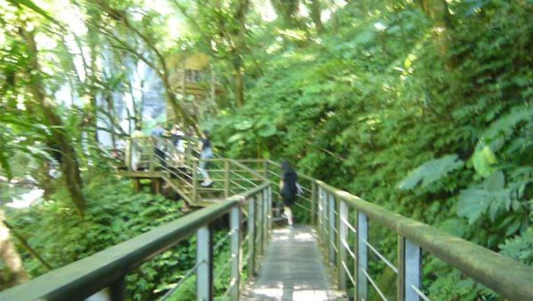 山林美境：滿月圓國家森林遊樂區處女瀑布1116099