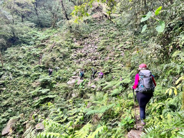 福巴越嶺國家步道2364482