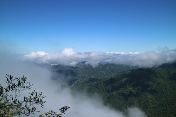 2017/05/21 東卯山522331