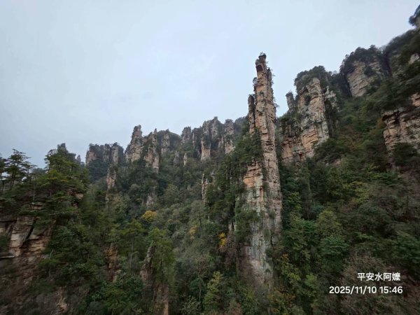 2025/11/8-10張家界園區2939353