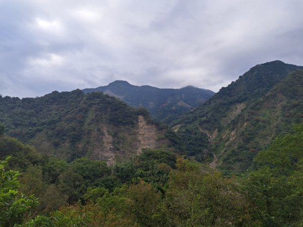 嘉義二延平，特富野步道3123515