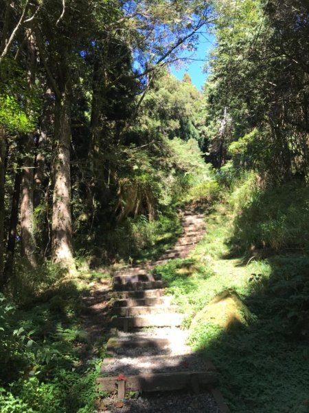阿里山雙峰大塔山對高岳連走451427