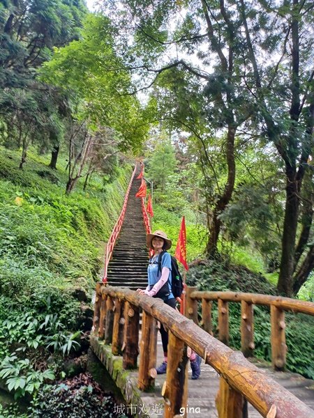 【苗栗獅潭】登頂前的陡坡攀爬很有感。 仙山登山步道2658440