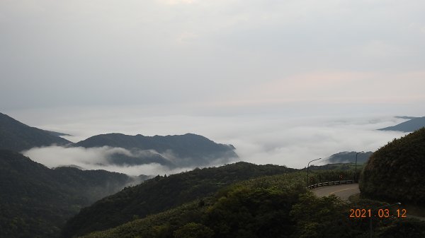 3/12&17陽明山追雲趣再見雲瀑&雲海1302443