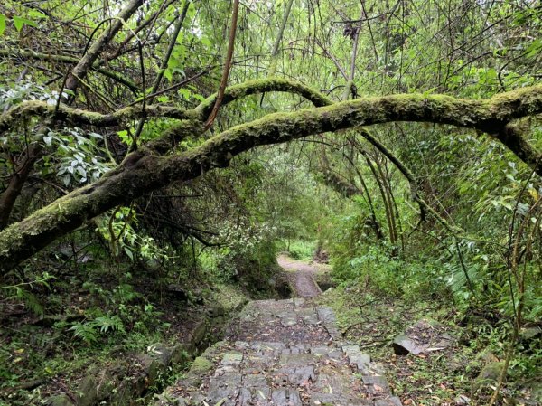 特富野古道797997